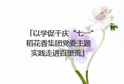 以学促干庆“七一” 稻花香集团党委主题实践走进百里荒