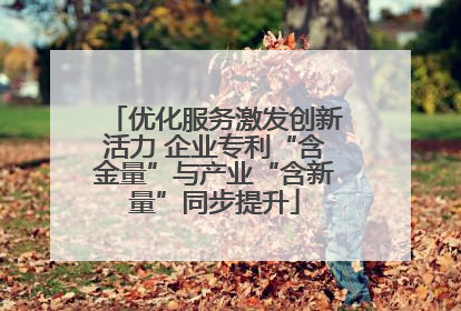 优化服务激发创新活力 企业专利“含金量”与产业“含新量”同步提升