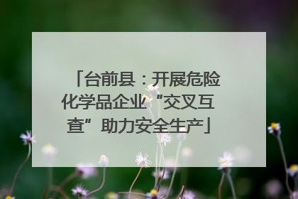 台前县：开展危险化学品企业“交叉互查”助力安全生产