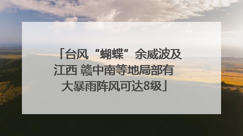 台风“蝴蝶”余威波及江西 赣中南等地局部有大暴雨阵风可达8级