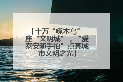 十万“啄木鸟”一座“文明城”，“爱泰安随手拍”点亮城市文明之光