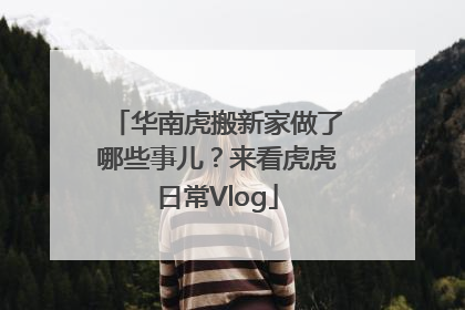 华南虎搬新家做了哪些事儿？来看虎虎日常Vlog