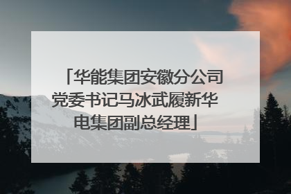 华能集团安徽分公司党委书记马冰武履新华电集团副总经理