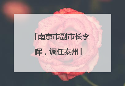 南京市副市长李晖，调任泰州