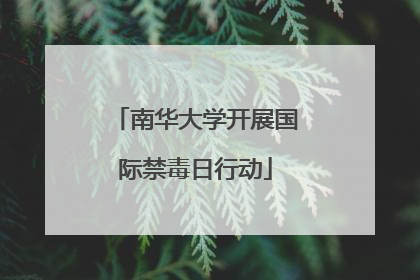 南华大学开展国际禁毒日行动