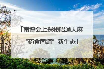 南博会上探秘昭通天麻“药食同源”新生态