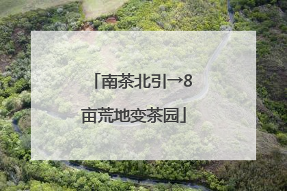 南茶北引→8亩荒地变茶园
