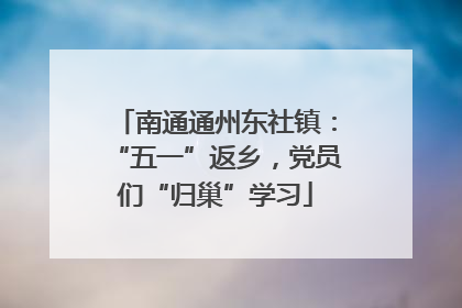 南通通州东社镇：“五一”返乡，党员们“归巢”学习