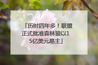 历时四年多！联盟正式批准森林狼以15亿美元易主