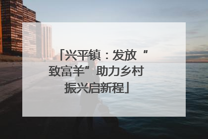 兴平镇：发放“致富羊”助力乡村振兴启新程