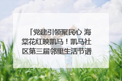 党建引领聚民心 海棠花红映凯马！凯马社区第三届邻里生活节谱写幸福新篇章
