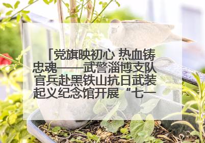 党旗映初心 热血铸忠魂——武警淄博支队官兵赴黑铁山抗日武装起义纪念馆开展“七一”主题党日活动