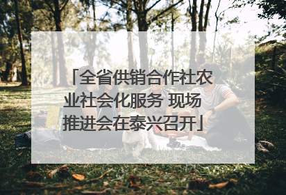 全省供销合作社农业社会化服务 现场推进会在泰兴召开