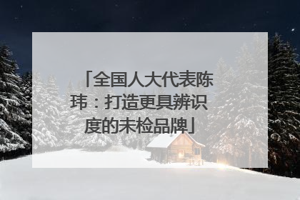 全国人大代表陈玮：打造更具辨识度的未检品牌