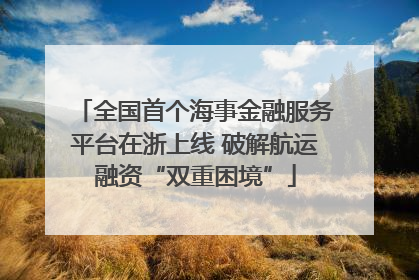 全国首个海事金融服务平台在浙上线 破解航运融资“双重困境”
