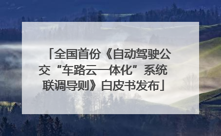 全国首份《自动驾驶公交“车路云一体化”系统联调导则》白皮书发布