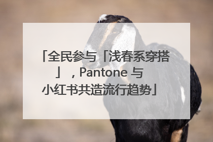 全民参与「浅春系穿搭」，Pantone 与小红书共造流行趋势