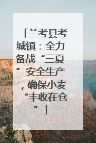 兰考县考城镇：全力备战“三夏”安全生产，确保小麦“丰收在仓”
