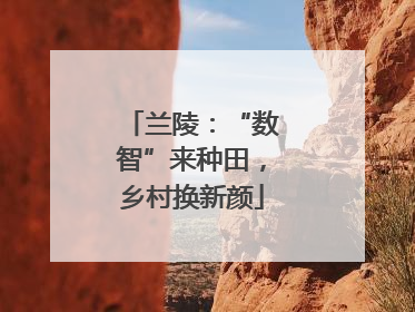 兰陵：“数智”来种田，乡村换新颜