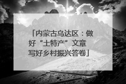 内蒙古乌达区：做好“土特产”文章 写好乡村振兴答卷