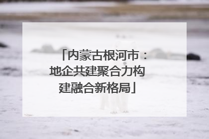 内蒙古根河市：地企共建聚合力构建融合新格局