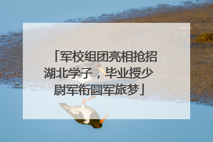 军校组团亮相抢招湖北学子，毕业授少尉军衔圆军旅梦