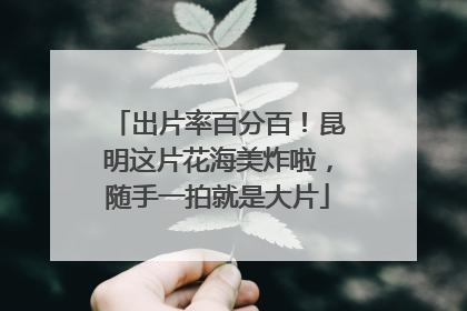 出片率百分百！昆明这片花海美炸啦，随手一拍就是大片