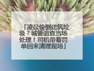 凌晨偷倒建筑垃圾？城管追查当场处理！司机带着罚单回来清理现场