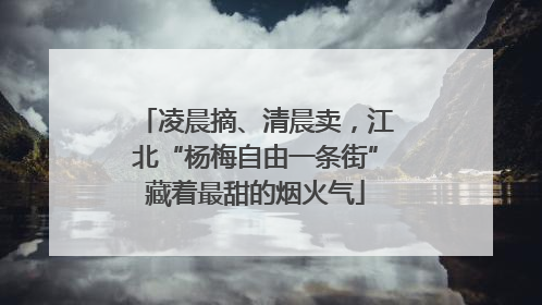 凌晨摘、清晨卖，江北“杨梅自由一条街”藏着最甜的烟火气
