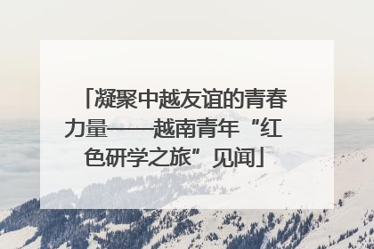 凝聚中越友谊的青春力量——越南青年“红色研学之旅”见闻