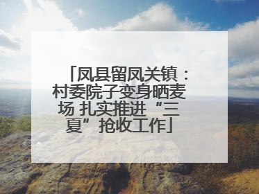 凤县留凤关镇：村委院子变身晒麦场 扎实推进“三夏”抢收工作