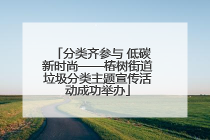 分类齐参与 低碳新时尚——椿树街道垃圾分类主题宣传活动成功举办