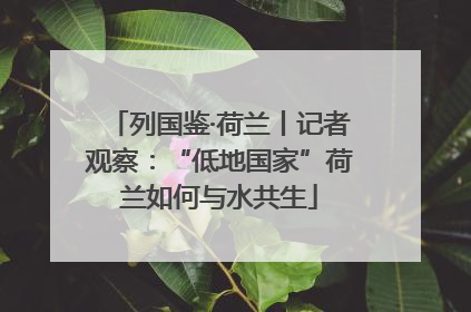 列国鉴·荷兰丨记者观察：“低地国家”荷兰如何与水共生