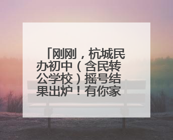 刚刚，杭城民办初中（含民转公学校）摇号结果出炉！有你家娃吗？
