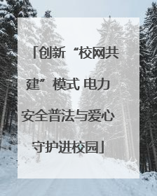 创新“校网共建”模式 电力安全普法与爱心守护进校园
