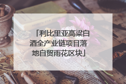 利比里亚高粱白酒全产业链项目落地自贸雨花区块