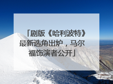 剧版《哈利波特》最新选角出炉，马尔福饰演者公开