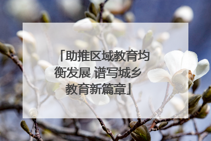 助推区域教育均衡发展 谱写城乡教育新篇章