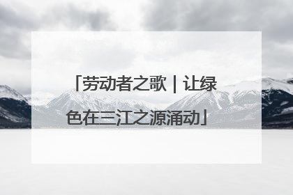 劳动者之歌｜让绿色在三江之源涌动