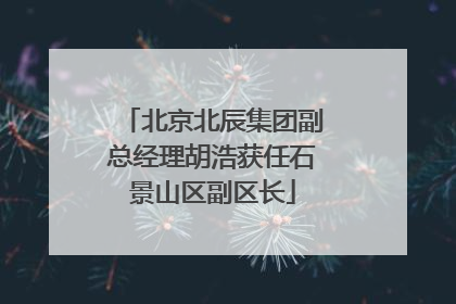 北京北辰集团副总经理胡浩获任石景山区副区长