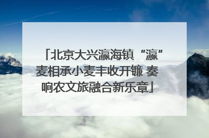 北京大兴瀛海镇“瀛”麦相承小麦丰收开镰 奏响农文旅融合新乐章