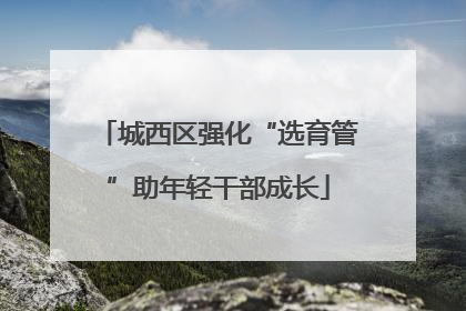城西区强化“选育管”助年轻干部成长