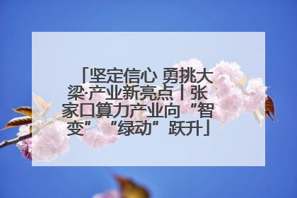 坚定信心 勇挑大梁·产业新亮点丨张家口算力产业向“智变”“绿动”跃升