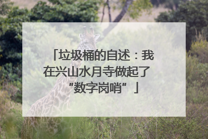 垃圾桶的自述：我在兴山水月寺做起了“数字岗哨”