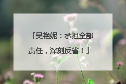 吴艳妮：承担全部责任，深刻反省！