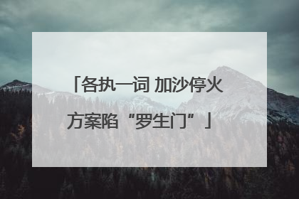 各执一词 加沙停火方案陷“罗生门”