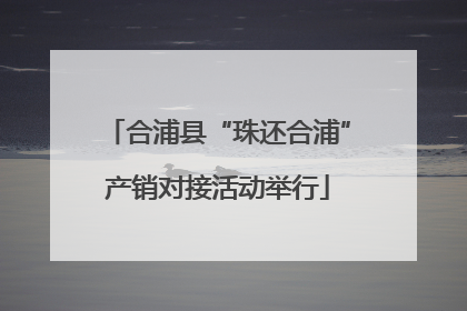 合浦县“珠还合浦”产销对接活动举行