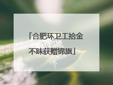 合肥环卫工拾金不昧获赠锦旗