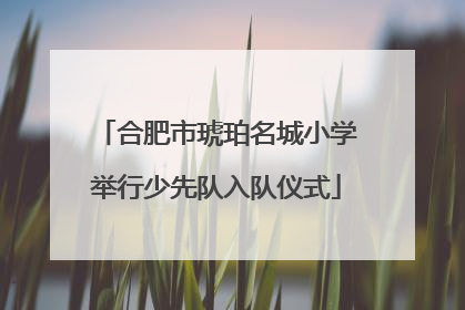 合肥市琥珀名城小学举行少先队入队仪式