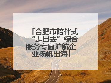 合肥市陪伴式“走出去”综合服务专窗护航企业扬帆出海
